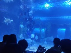 -台州海洋世界