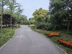 -青龙湖公园