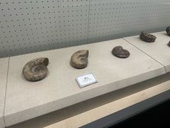-辽宁古生物博物馆