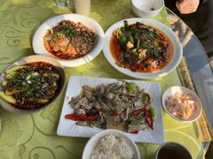 -龙翔山庄雷鸡肉(青城后山泰安古镇店)