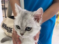 -佳雯宠物医院(四明中路分院)