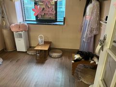 -楼上猫咖(罗湖店)