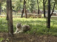 -秦皇岛野生动物园