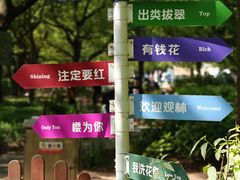 -上海共青森林公园