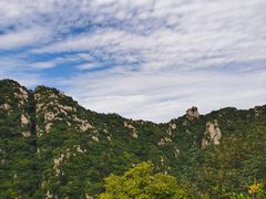 -大岭沟猕猴桃谷风景区