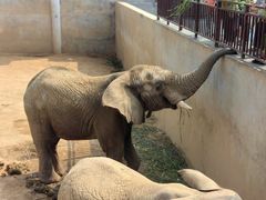 -西霞口神雕山野生动物世界