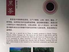 -中国茶叶博物馆(双峰馆区)