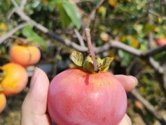 -青州市云门山风景区