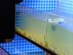 水产区-温州炎亭海鲜阁(万塘路店)