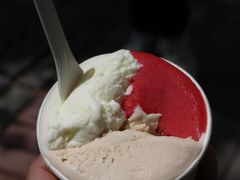 -Dip in Gelato(富民路店)