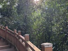 -黄金沟旅游风景区