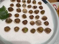-鮨桐日本料理(望京店)