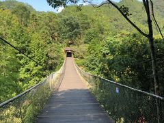 -天台国家森林公园水上茶乡九鹏溪