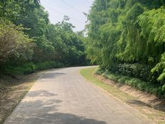 -上海海湾国家森林公园