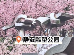 -上海辰山植物园