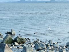 -深圳湾公园(南山区)