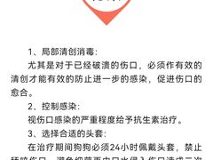 -瑞派申生动物医院·24H夜诊·国际动物医疗中心·骨外科(吴中路店)