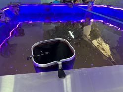 -巡鱼道·室内垂钓·渔具店