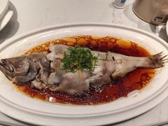 -渔人码头(中南店)