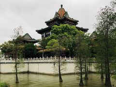 -顺峰山公园