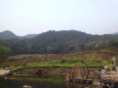 -广州市石门国家森林公园