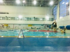 -七宝中学游泳馆