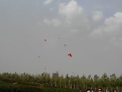 -群力丁香公园