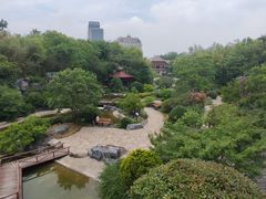 -吴淞炮台湾湿地森林公园烧烤区