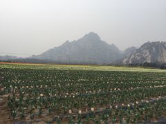 嵖岈山-嵖岈山风景区
