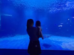 -石家庄海洋公园