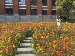 -华东政法大学(松江校区)