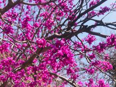 -天台山赤城山景区