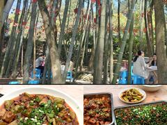 -金水泊山庄·花椒鸡(铁山坪店)