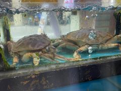 -鑫鸿达·海鲜闽菜热炒小馆(中山路店)