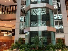 -上海新锦江大酒店