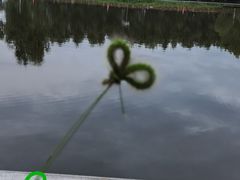 -白渔泡湿地公园