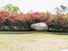 -中国科学院西双版纳热带植物园