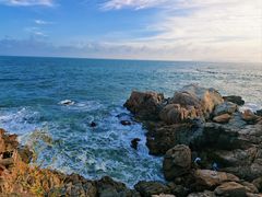 -小麦岛公园