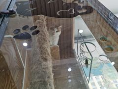 -瑞鹏宠物医院·超声·骨科·奇麟分院(蜀都万达店)