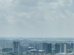 -环球港凯悦 · 享悦中餐厅