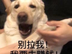 -遵义米粉川菜馆(木渎镇店)