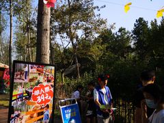 -合肥滨湖国家森林公园