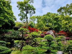 -南山植物园