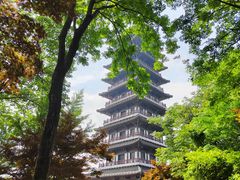 -宜兴龙背山森林公园