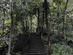 -赤水丹霞旅游区·佛光岩