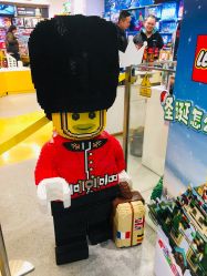 -乐高品牌旗舰店(人民广场店)