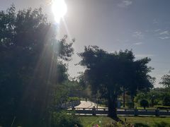 -金鸡岭桥头公园