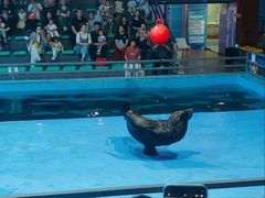 -洛阳龙门海洋馆