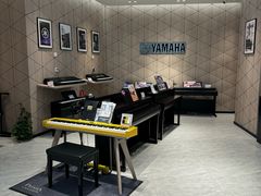 -知音艺术教育培训·钢琴培训·音乐培训(河西金鹰世界校区)