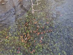 -水磨沟公园